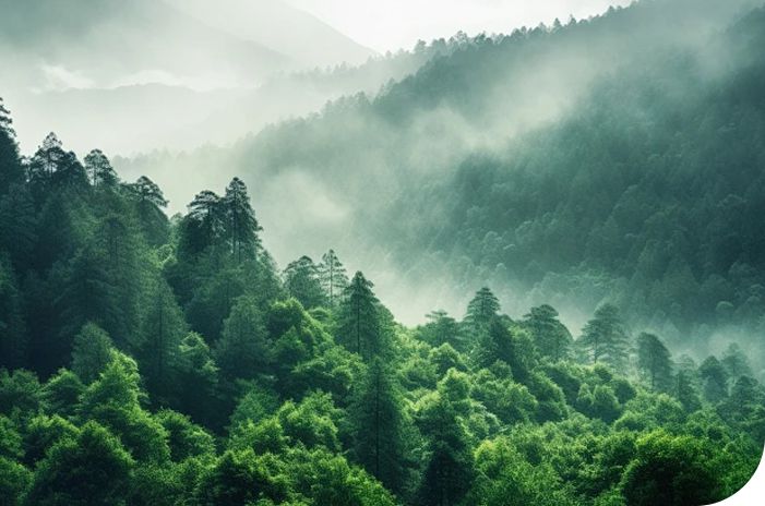 匠心智造，绿创未来